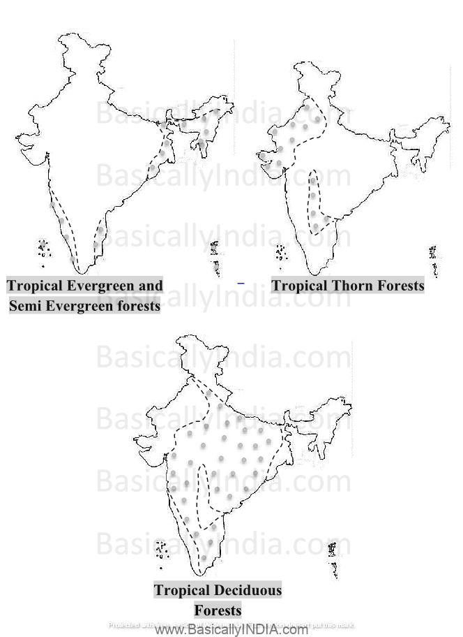 Natural Vegetation in India