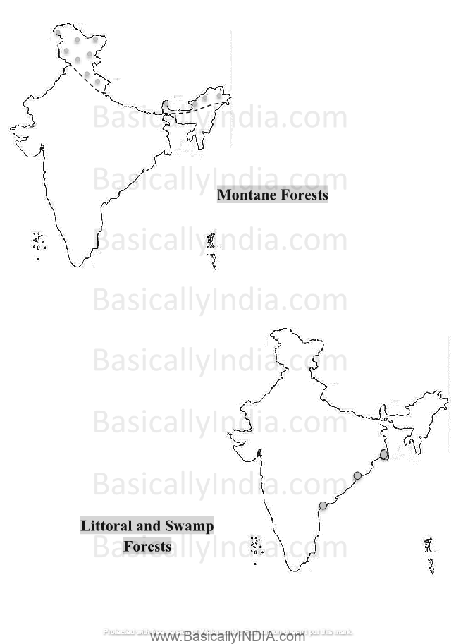 Natural Vegetation in India