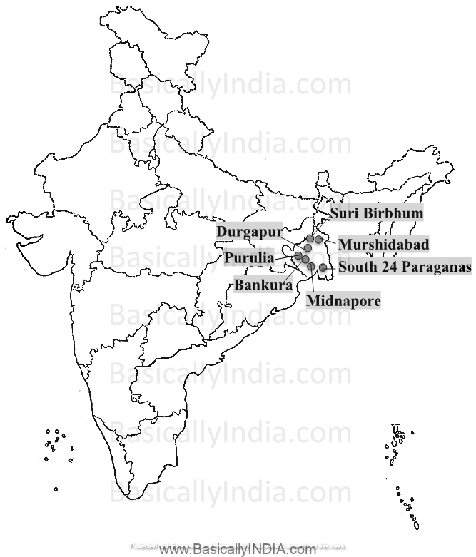 Thermal Power Stations - Coal Based